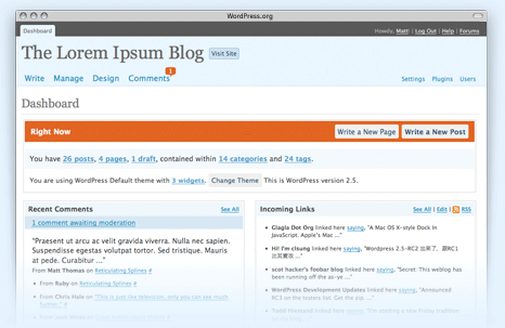 WordPress 2.6.5 (admin view)